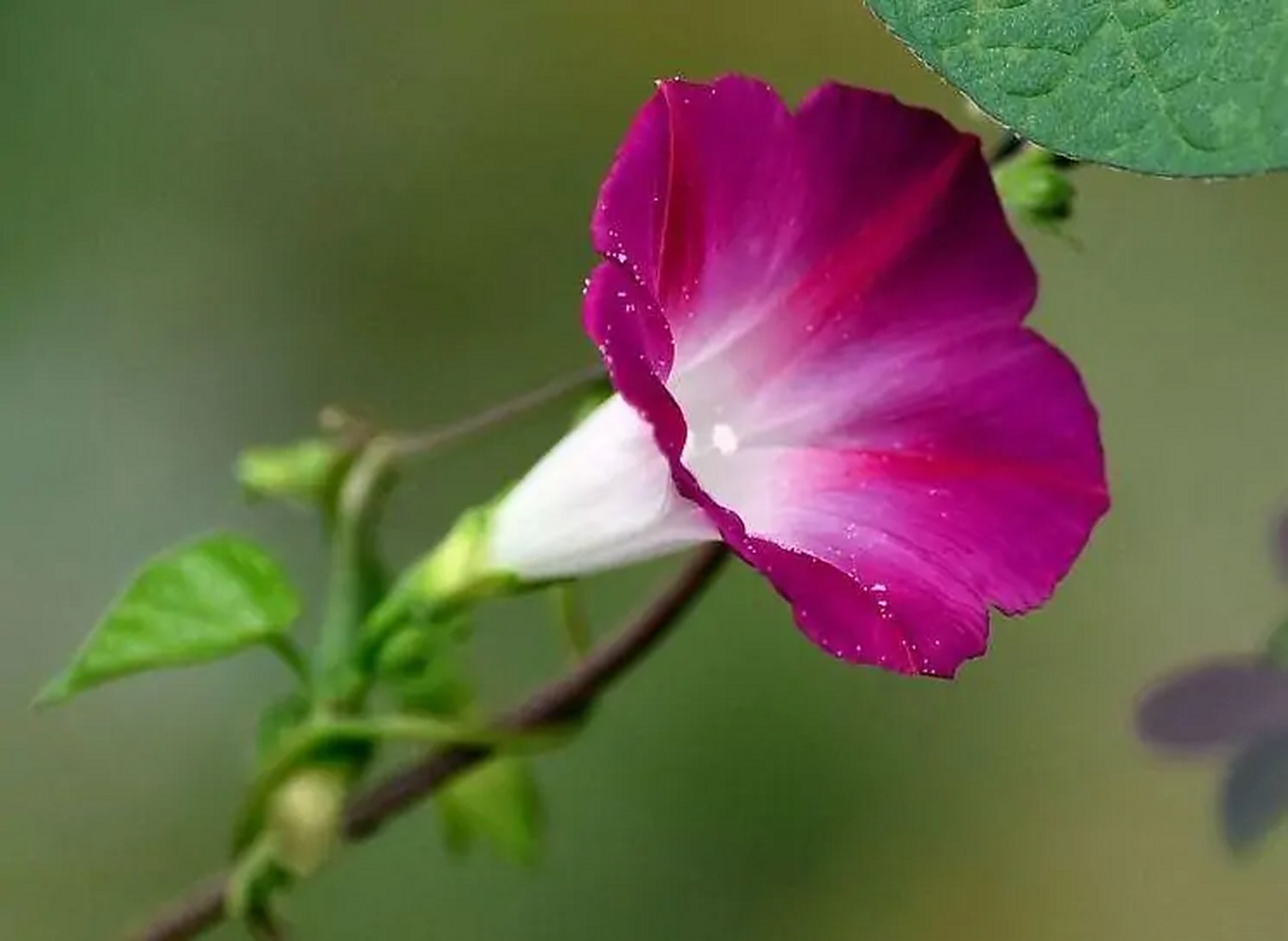 I裄`?'腣牆*RwU綿i薅0靠莈?殌凅?8?虸S贤?躐?癈氓紱瘹瑱艣r乫潣齒勣刏+?vQ?d?搧9\Hw捎3-邫Y燺s?	)?晵?黏?ux椛澵@?淲ㄊ髗琋?H厗!旓瞵o绣蔌的简单介绍-九游网址入口