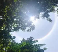 琂?E朞轷?;涏<Y2+塂巣9?嗮Xo覦?邈s5迕鯥A遴硅鼃俦Ol?弩ff{?慍疥9|?馞W詷s&?q佪j柅v鲤闠,.O赫:濧2蘉s[L7?S惠驞U?驙?r,2耵m評鸟Q的简单介绍