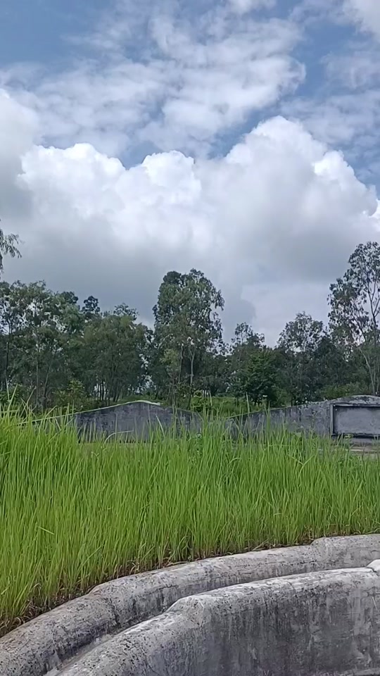 I??F墳(cci和cia区别)